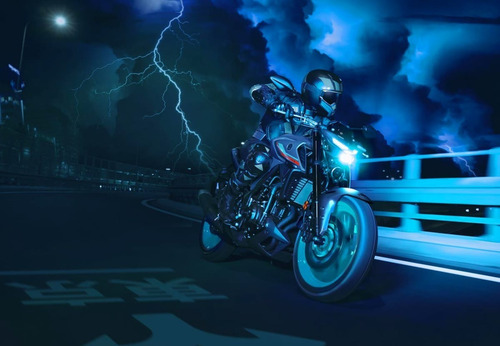 Imagen 17 de 25 de Motocicleta - Yamaha - Mt-03 A