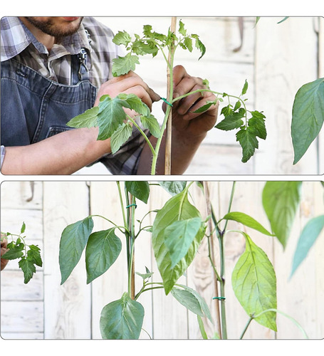 Suministros De Jardinería Para La Planta Aguar 35 Mmx10m