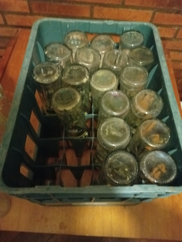Cajón Antiguo De Gaseosa Crush Bebidas (Usado)