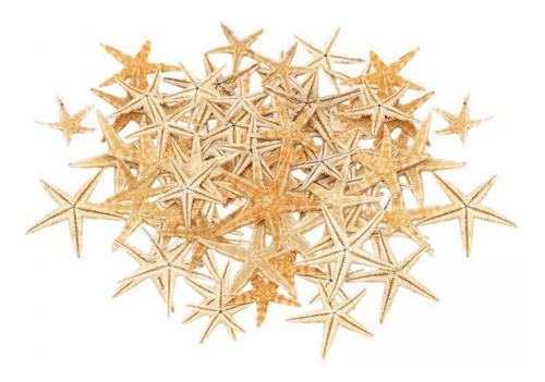 2 Beach Starfish-natural Seashells