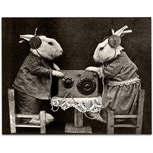 Conejos Extraños Escuchando Radio Auriculares  Impresi...