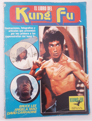 El Libro Del Kung Fu. Bruce Lee. Incluye Un Raro Comic. 1982