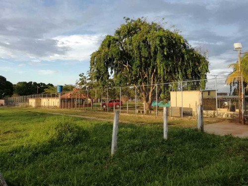 Imagen 3 de 20 de Finca En Venta Sabana Del Medio Barrera
