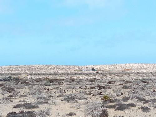 Gestimob Vende Terreno De 5.000 M2 En Punta De Choros (entre