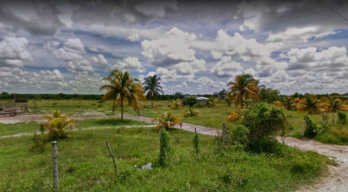 Imagen 2 de 8 de Venta De Terrenos En Celestun