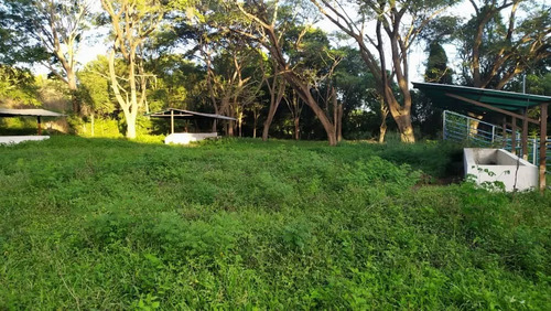 Venta Granja Integral Productiva Avicola Ganadera Y Minera Tinaquillo Edo. Cojedes Negociable Con Financiamiento Jm