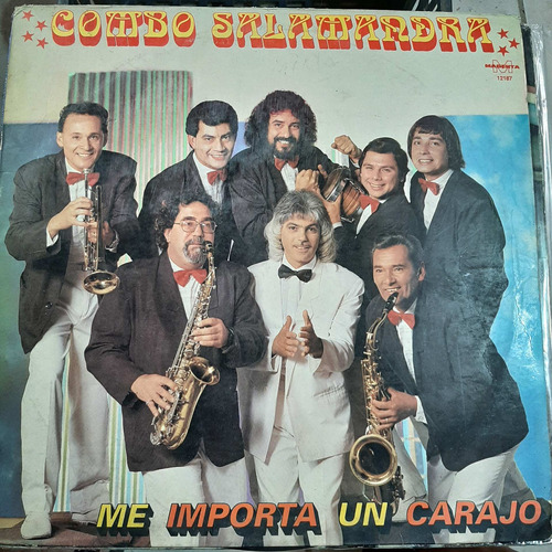 Vinilo Combo Salamandra Me Importa Un Carajo C5