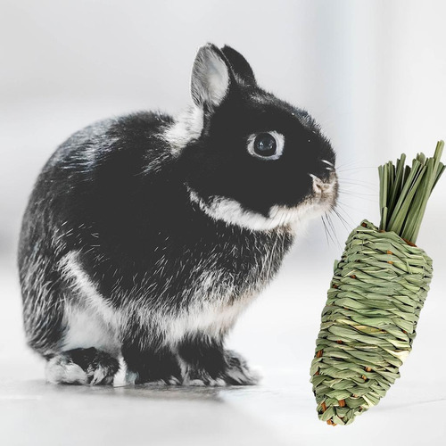 Conejos Conejos Juguete Para Masticar Suministros Para