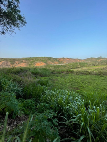 Imagen 13 de 14 de Terreno A La Venta En San Omero