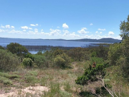 Imagen 11 de 17 de Terreno De 4.374 Mts2 Con Costa A Laguna Del Sauce