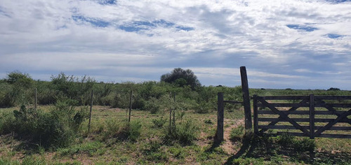 Campo - Santiago Del Estero