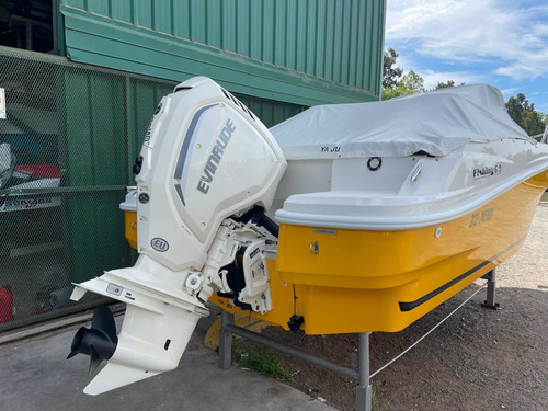 Imagen 10 de 11 de Arco Iris Fishing 6.0 Evinruder Etec 115hp Ecologico 2022