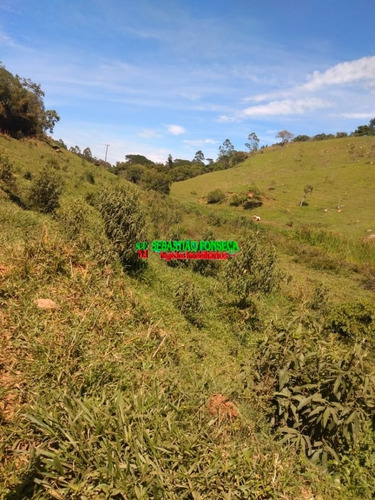 Imagem 10 de 15 de Sítio Dos Sonhos Em Paraibuna - 3.8 Alqueires - 1001