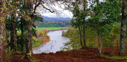 Imagen 13 de 13 de Lindos Terrenos Orilla Común De Río Calle Calle Los Lagos