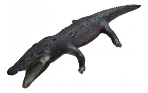 Animales Disecados 100% Artificiales, Cocodrilo (crocodile)