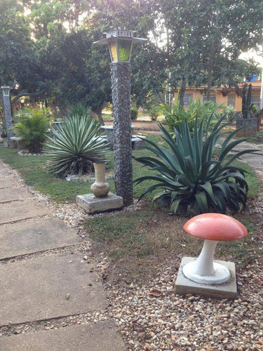 Imagen 19 de 21 de Se Vende Finca Terreno Propio En Taguanes Tinaquillo Edo Cojedes Cod 163349