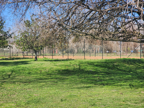 Venta Terreno En Barrio Los Jazmines Pilar Del Este