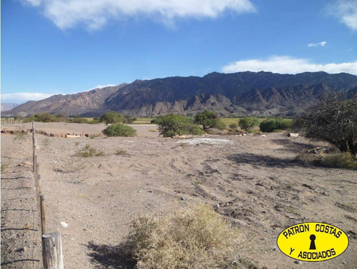 Imagen 7 de 22 de 2054hp-24000 Has Molinos Con Riego