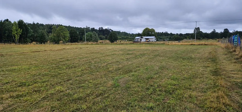 Venta Parcela 5000mts Paillaco