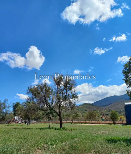 Gran Oportunidad De Inversion¡¡ Se Vende Parcela De 1ha.