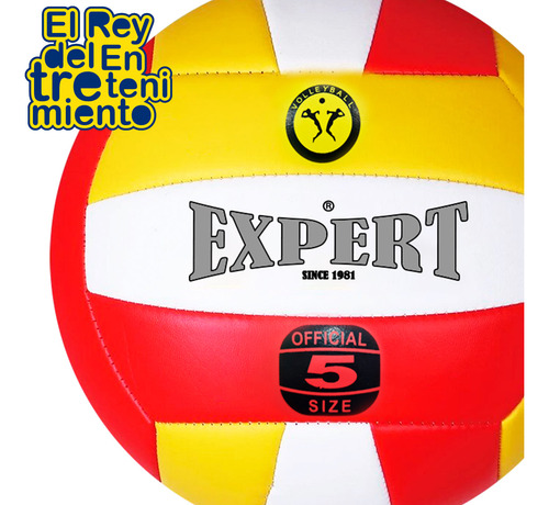 Imagen 3 de 4 de Pelota Volleyball Expert Nº5 Oficial Voley Playa - El Rey