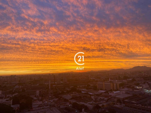 Imagem 27 de 30 de Cobertura À Venda, 415 M² Por R$ 7.500.000,00 - Jardim Das Perdizes - São Paulo/sp - Co0999