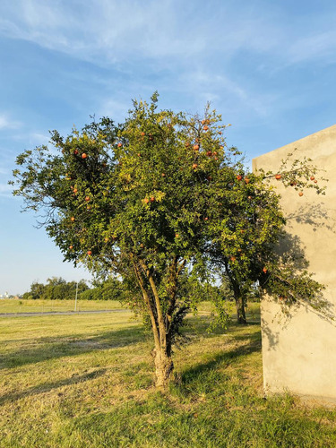 Terreno En Venta Capitan Bermudez