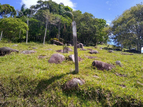 Imagem 3 de 7 de Terreno Para Venda Em Gamboa Garopaba-sc - Tv811