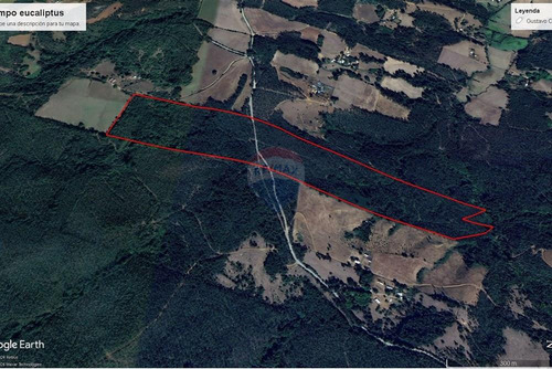 Inversión Perfecta: Campo Bosque En Gorbea, Chile