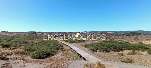 Excelente Terreno Con Anteproyecto De Arquitectura