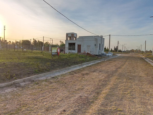 Imagen 3 de 8 de Terreno - Gualeguaychu