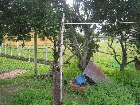 Imagem 2 de 21 de Casa Residencial À Venda, Lami, Porto Alegre. - Ca0400