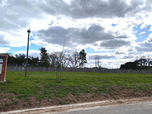 Imagen 3 de 11 de En Venta Lote 41 De Arenas Chico, Mar Del Plata.