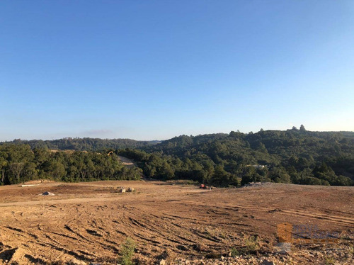 Imagem 10 de 22 de Terreno À Venda, 300 M² Por R$ 99.000,00 - São Giácomo - Caxias Do Sul/rs - Te0210
