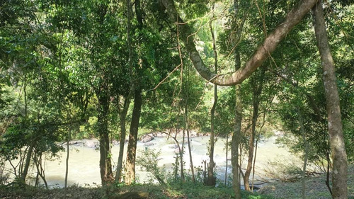 Imagen 9 de 25 de Loteo La Martina, Sobre Arroyo Acaraguá, Misiones