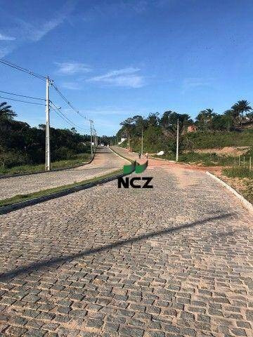 Imagem 5 de 12 de Terreno À Venda, 18000 M² Por R$ 740.000,00 - Ponto Certo - Camaçari/ba - Te0876