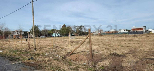 Imagen 5 de 6 de 133 Y 508 Loteo. Nuevo Emprendimiento En José Hernández.