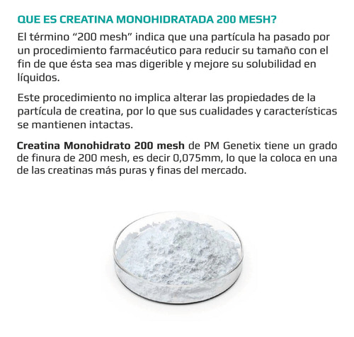 Creatina Monohidratada 200 Mesh 500gr Frasco Pm Genetix