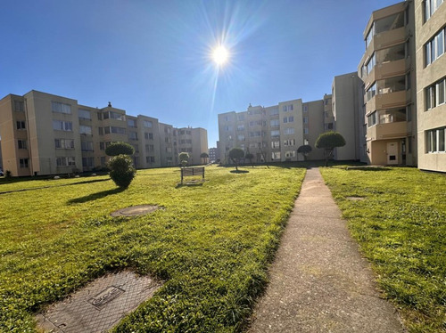 Arrienda Departamento 3 Habitaciones, Campos De Bellavista