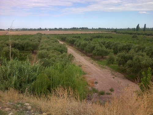 Imagen 5 de 8 de 8.5 Ha Cruz De Piedra - P/loteo