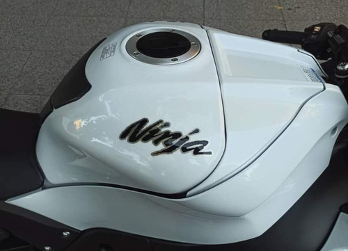 Kawasaki Zx 10 R