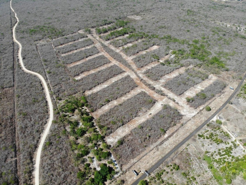 Terreno(15) En Venta En Parque Caucel En Caucel
