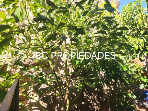 Se Vende Casa Con Terreno En Calle Encon San Felipe