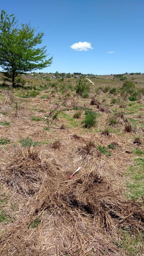Imagen 4 de 8 de Terreno 440 M2 - Yacanto Calamuchita