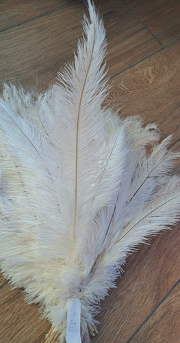 Pluma De Avestruz Blanca El Emporio De Plumas 50 Cm Blanco