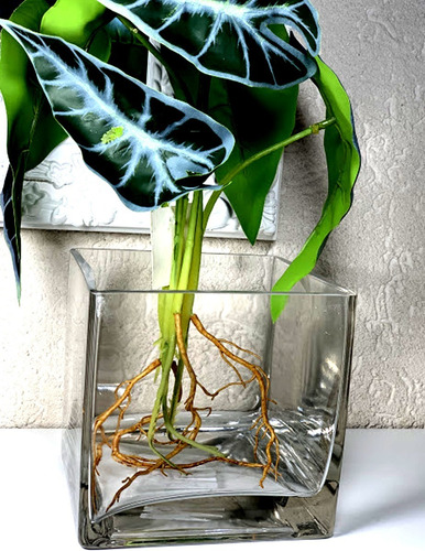 Imagen 5 de 9 de Florero Suvenir Cuadrado De Vidrio Importado 10 Cm Deco