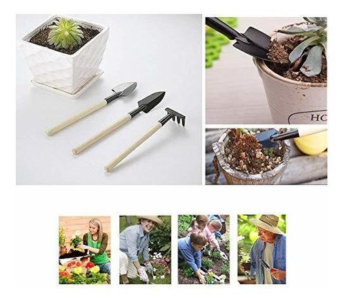 Wesdxc 15 Piezas Herramientas De Plantas Suculentas, Mini He
