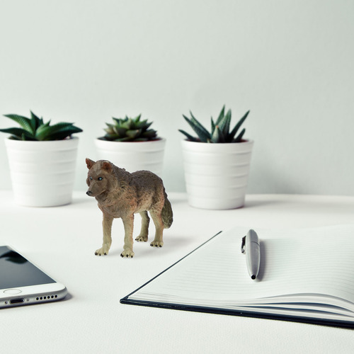 Juguete Para Animales Cognitivos Estáticos, Modelo De Bosque