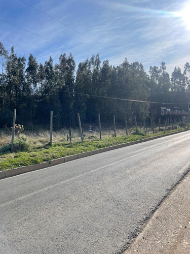 Tres Sitios Urbanos Camino Dolores Jeria Navidad A Matanzas