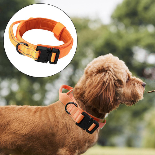 Collar De Perro Duradero Con Mango De Control De Xl Naranja